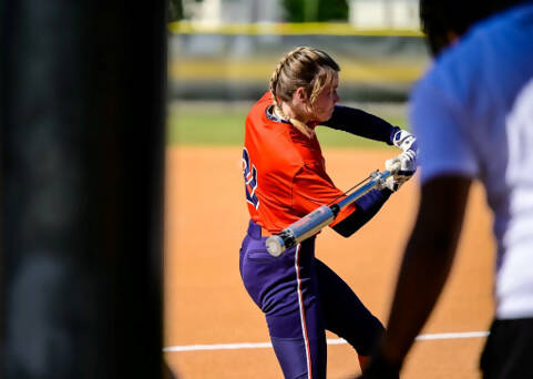 THE PROVELOCITY™ SOFTBALL BAT Bat Club USA