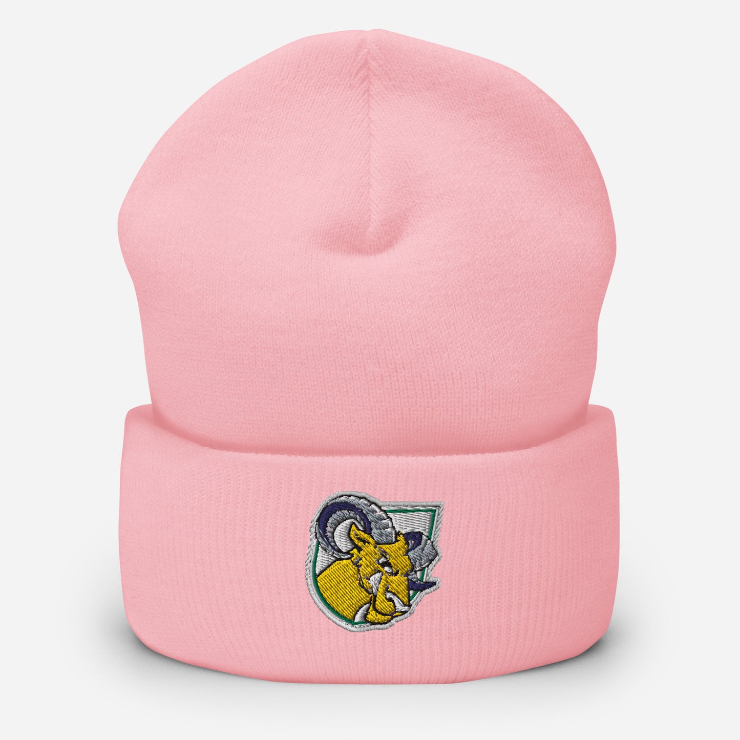 Delaware Valley University Baseball Cuffed Beanie
