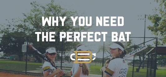 Why You Need The Perfect Bat