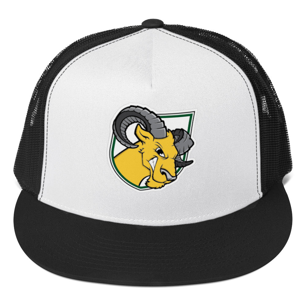 Delaware Valley University Baseball Trucker Cap