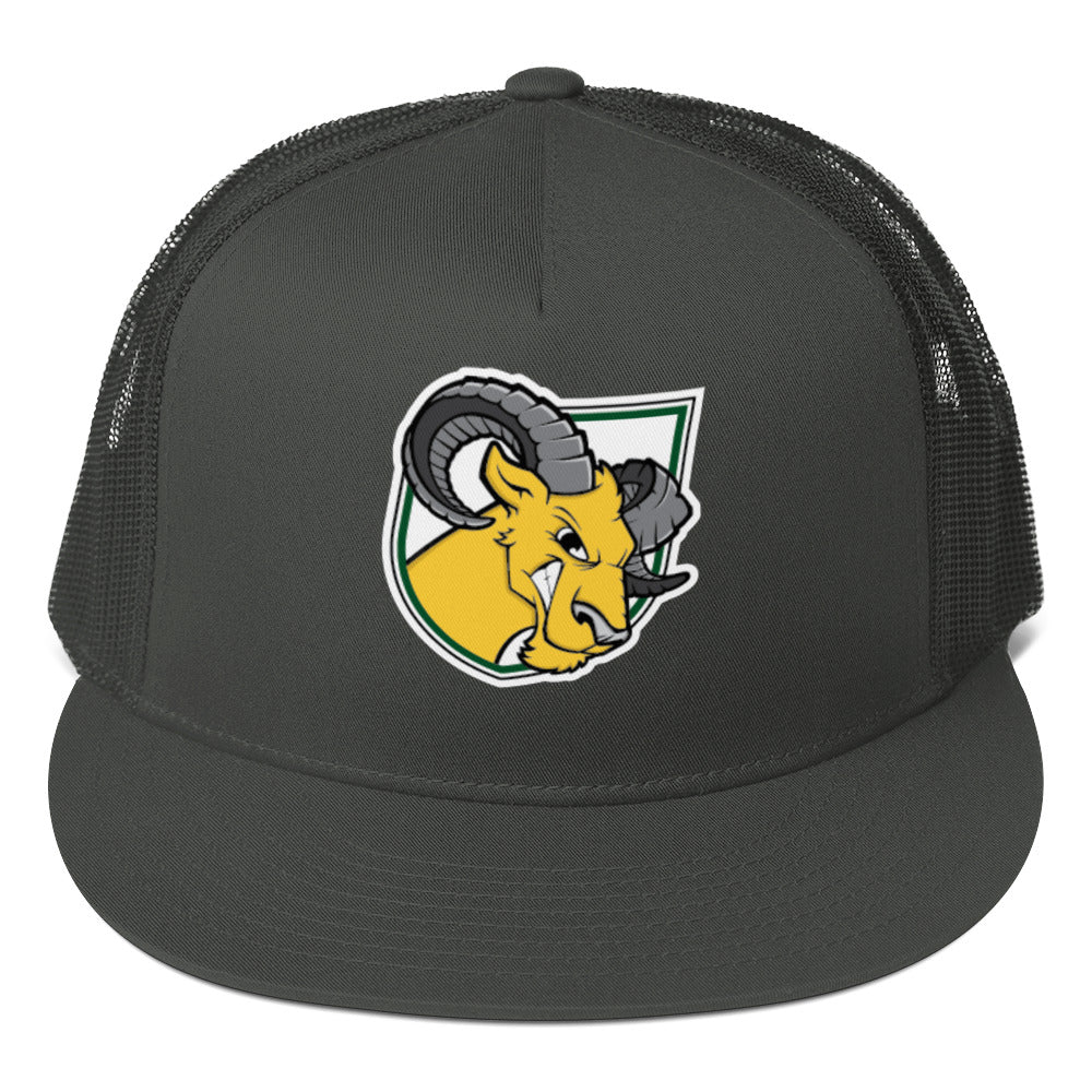 Delaware Valley University Baseball Trucker Cap