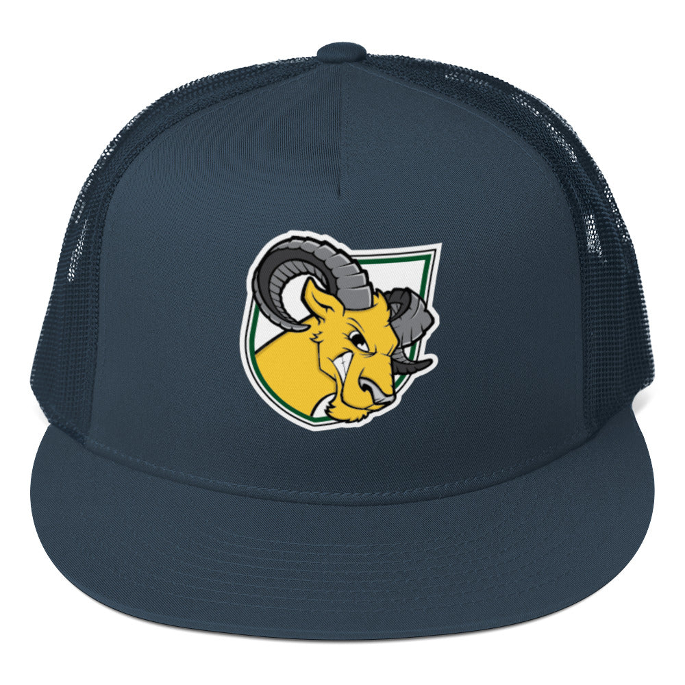 Delaware Valley University Baseball Trucker Cap