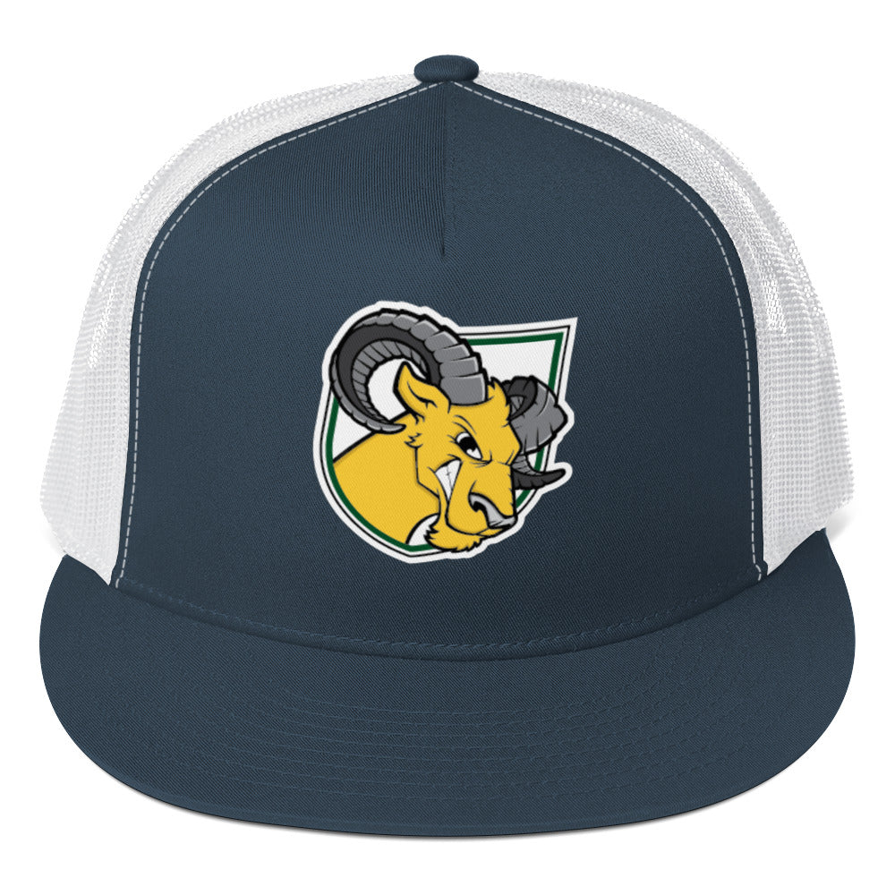 Delaware Valley University Baseball Trucker Cap