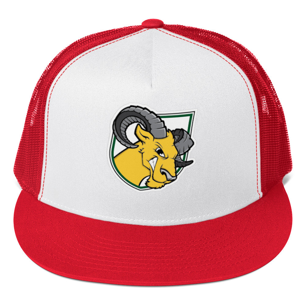 Delaware Valley University Baseball Trucker Cap