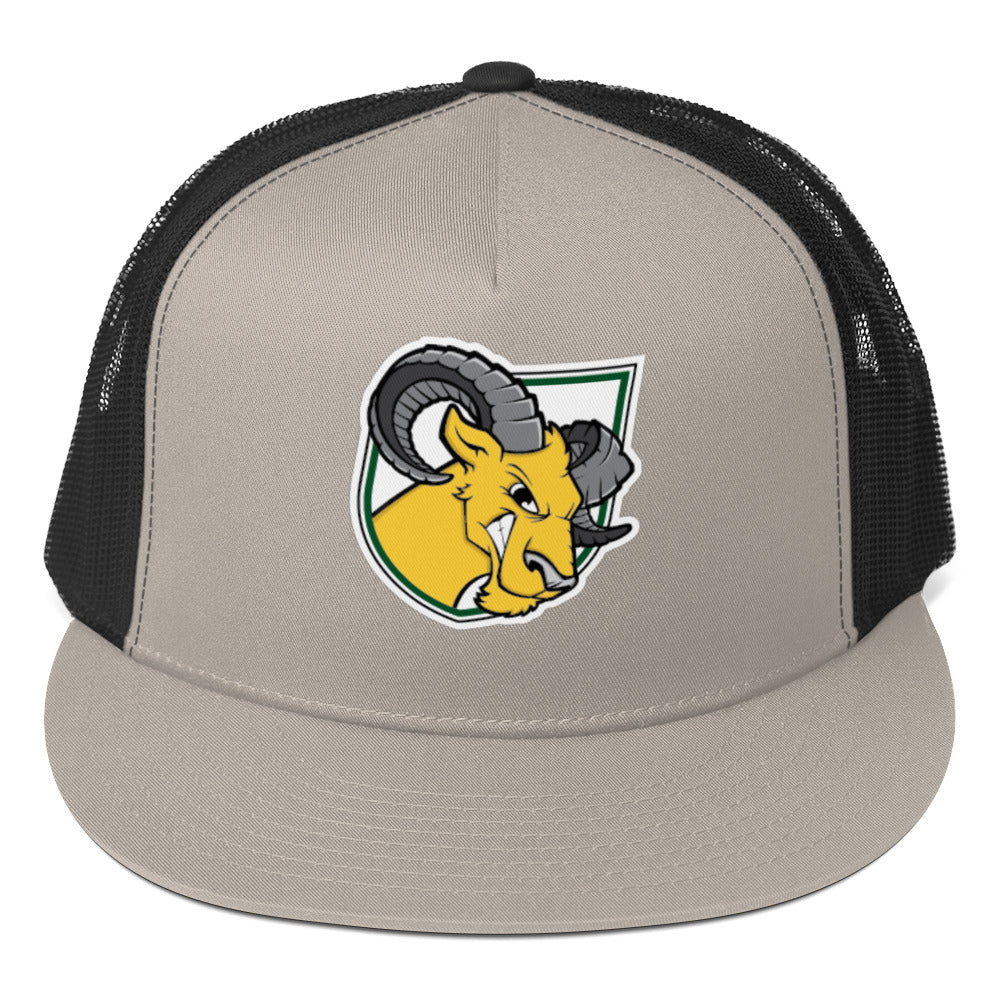 Delaware Valley University Baseball Trucker Cap