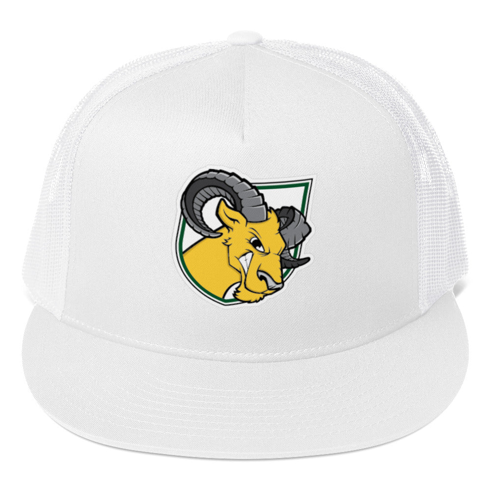 Delaware Valley University Baseball Trucker Cap