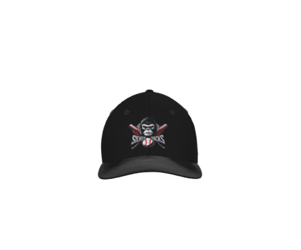 Silverbacks Baseball Game Hats