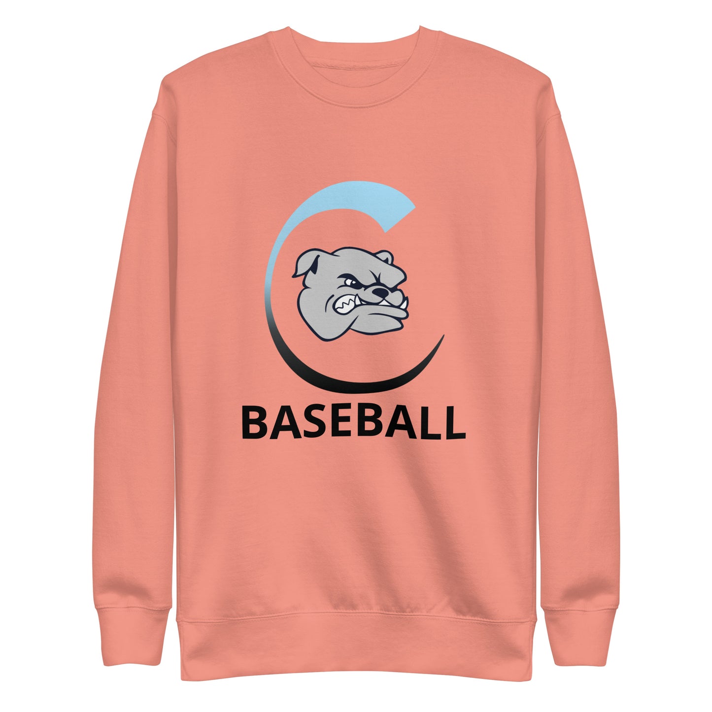 Carroll Baseball Unisex Premium Sweatshirt